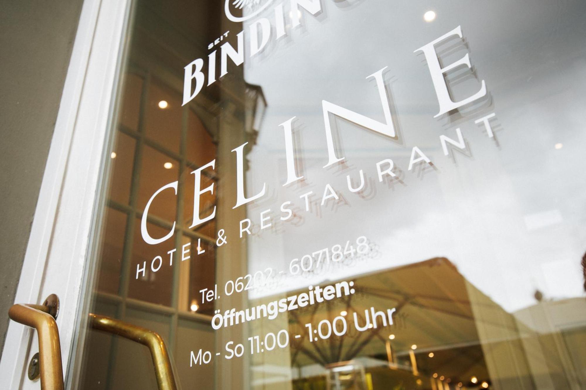 Celine Hotel Шветцинген Экстерьер фото